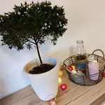 Vakantieboerderij Fewoja 