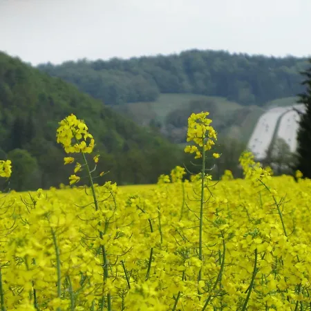 Fewoja Neundorf 