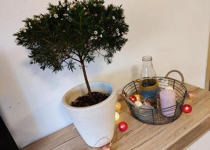 Vakantieboerderij Brunow 