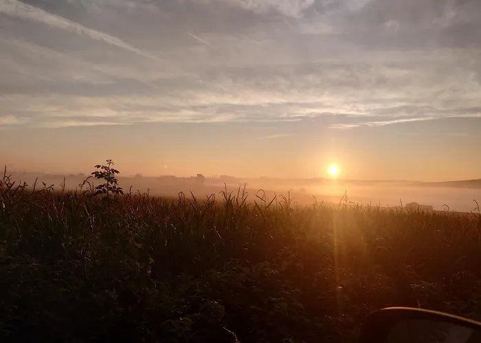 ファームステイ Fewoja 